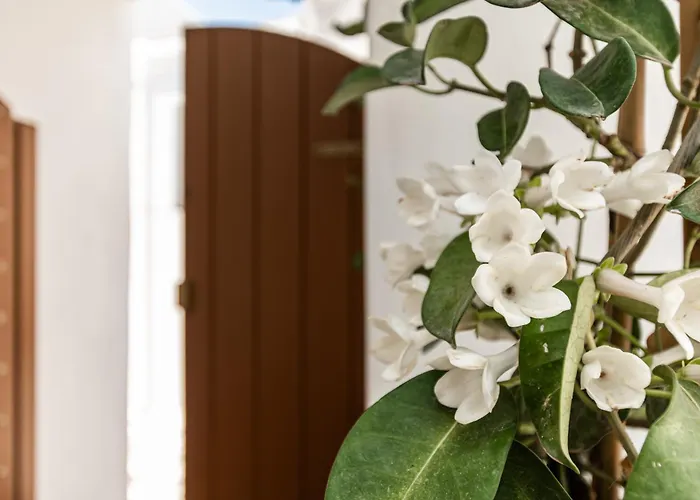 Memorias Sangri Naxos Villa *